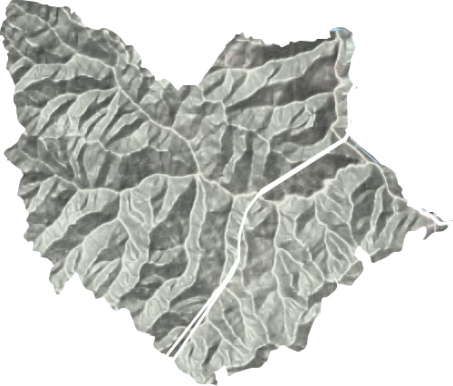 桐木镇地形图