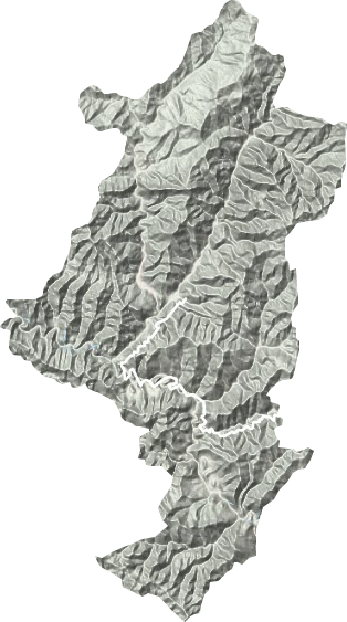 东川镇地形图