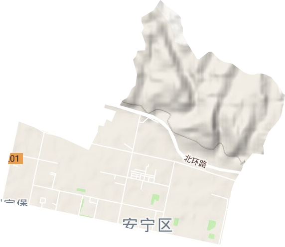 西路街道地形图