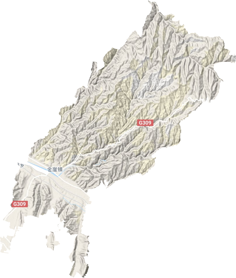 金崖镇地形图