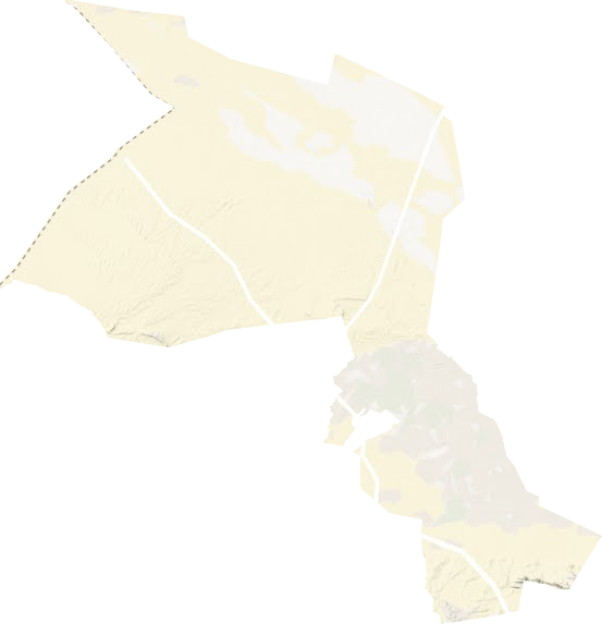 双湾镇地形图