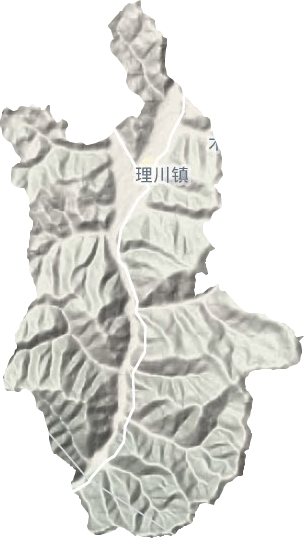理川镇地形图