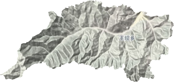 王坝乡地形图