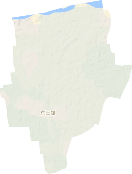 东王镇地形图