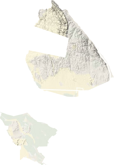 达勒特镇地形图