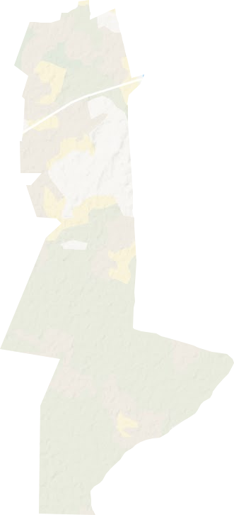 巴州阿瓦提农场地形图
