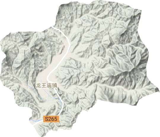 龙王庙乡地形图