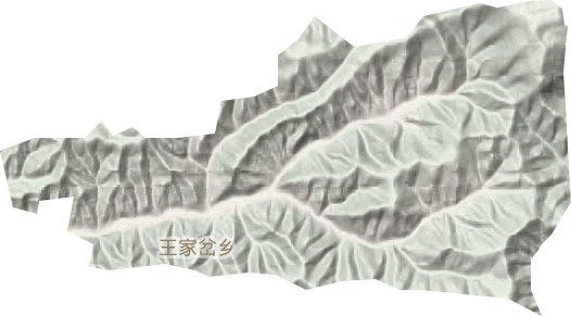 王家岔乡地形图