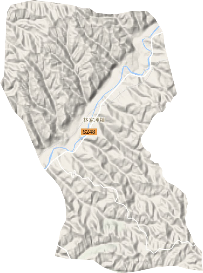 林家坪镇地形图