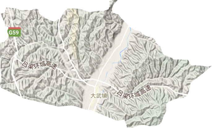 大武镇地形图
