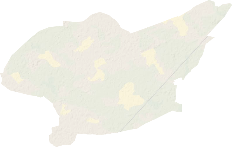 高林屯种畜场地形图