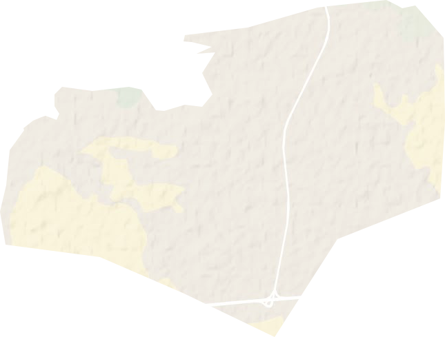 朝鲁吐林场地形图