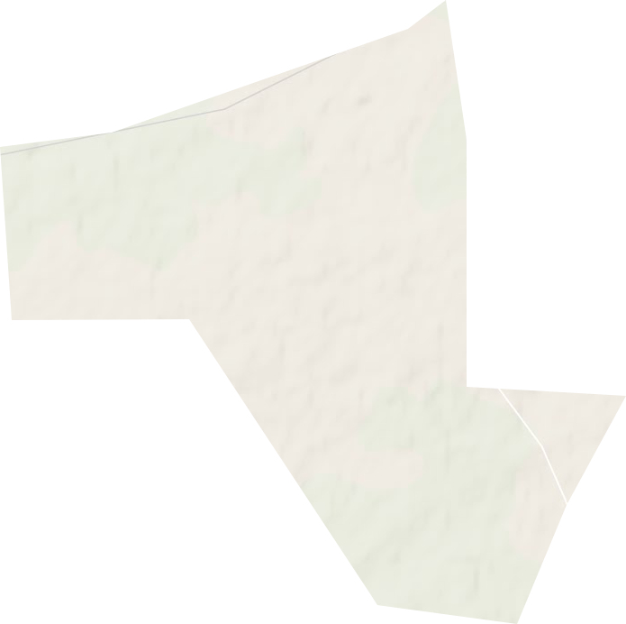 茂道吐林场地形图