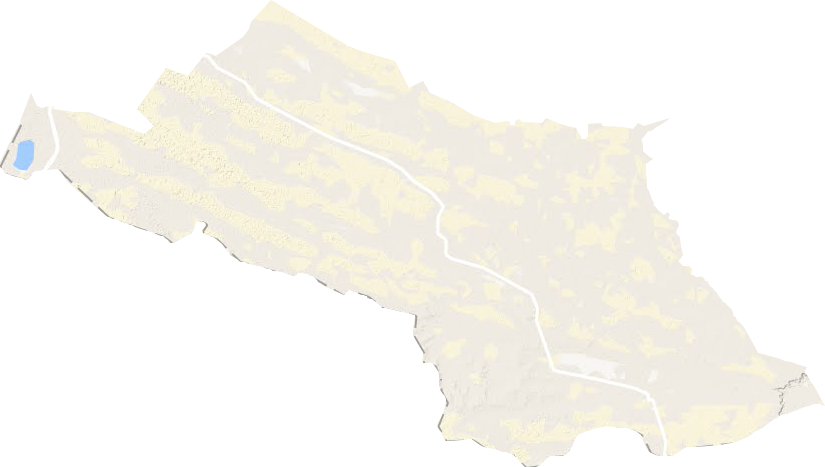 城川镇地形图