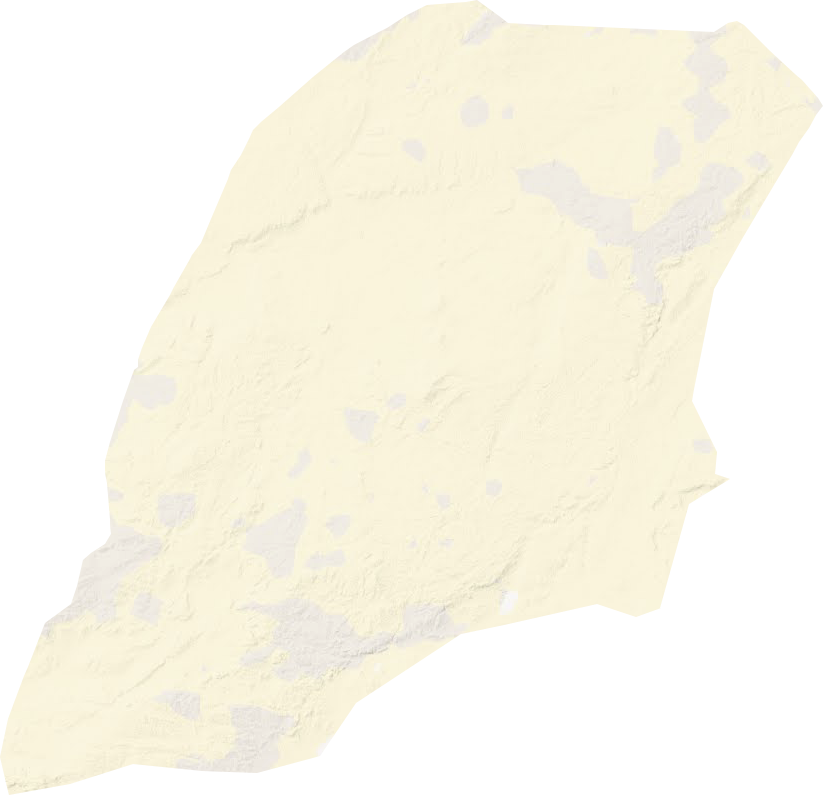洪格尔苏木地形图