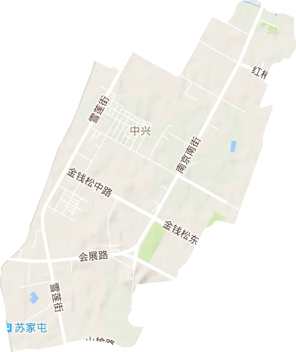 中兴街道地形图
