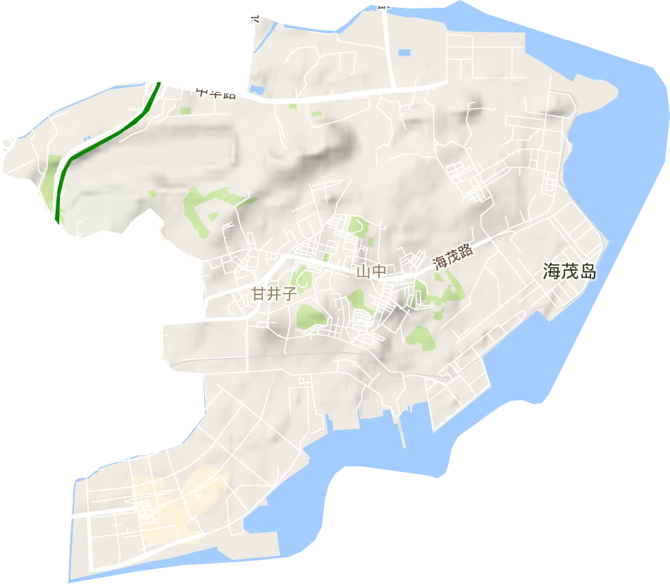甘井子街道地形图