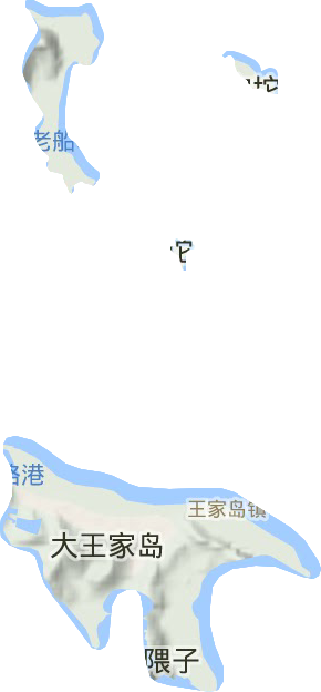 王家镇地形图