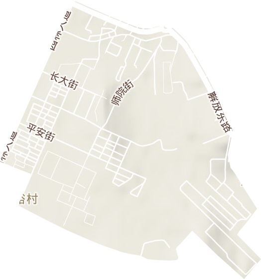 东长甸街道地形图