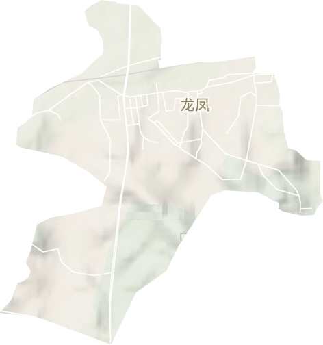 龙凤街道地形图