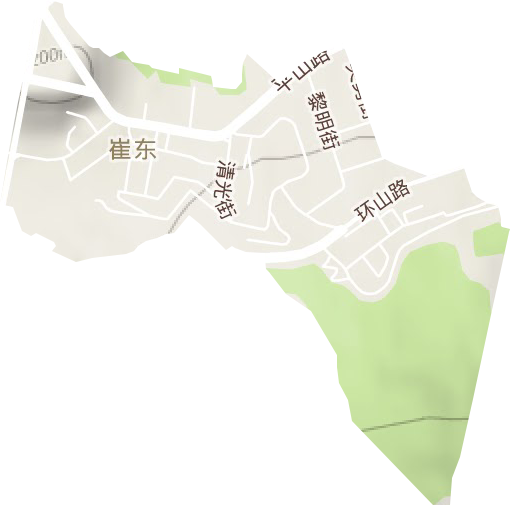 崔东街道地形图